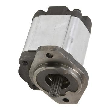 Pompe hydraulique pompe engrenages externe gear pump standard europeen groupe 3
