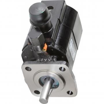 Galtech Hydraulique Gear Pompe , Groupe 1, Bsp Ports, 1:8 Conique, 4 Vis Bride