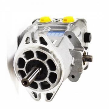 Pompe hydraulique pompe engrenages gear pump flow debit pression std EU 4.8cc