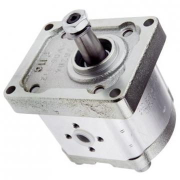 Rexroth pvv2-1x/040ra15umb hydraulique de pompe r900931138 — used